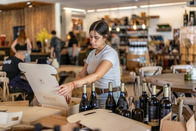 Une employée met en carton des bouteilles de vin dans une exploitation viticole de la colonie israélienne de Shaar Binyamin, au sud-est de Ramallah, le 9 septembre 2026 en Cisjordanie occupée