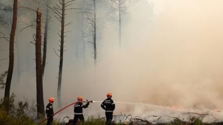 Des pompiers luttent contre un incendie à Arès, en Gironde, le 26 juillet 2026