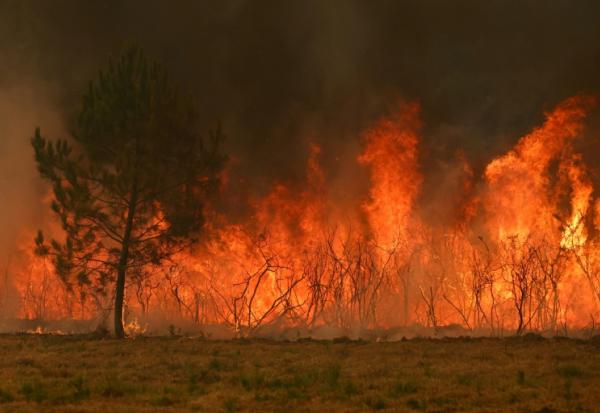 Incendie de forêt à Marcheprime, à l'ouest de Bordeaux le 26 juillet 2026 