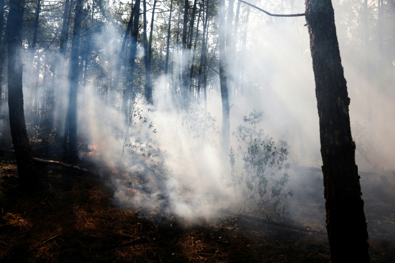 De la fumée s'élève dans une forêt de Lège-Cap-Ferret, le 29 juillet 2026.