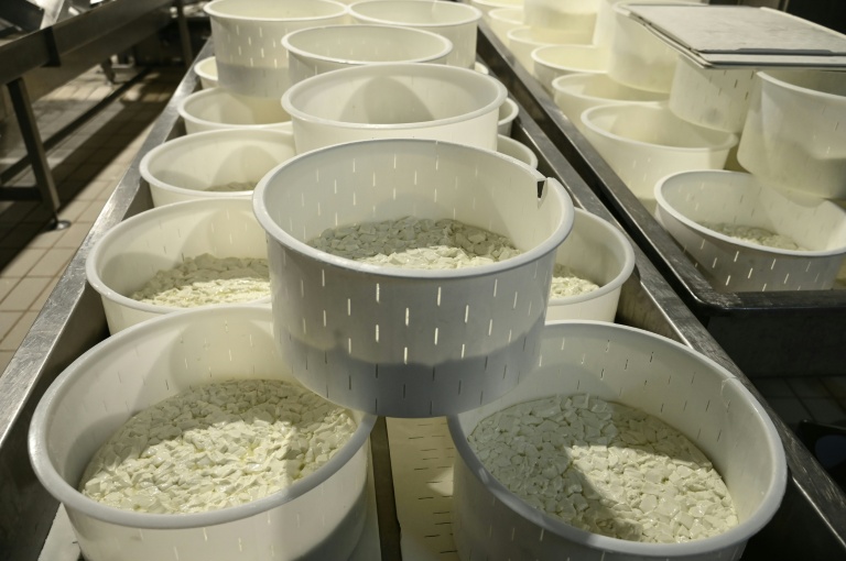 De la feta en cours de production dans une usine de fromage à Thessalonique, en Grèce, le 19 février 2026