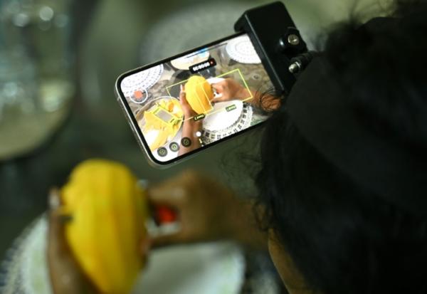 Nagireddy Sriramyachandra filme avec un téléphone ses gestes pendant qu'elle coupe une mangue pour entraîner un futur robot dopé à l'IA, le 15 mai 2026 à Madras, en Inde