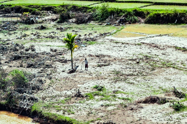 Des rizières ravagées par des inondations à Bener Meriah, dans la province indonésienne d'Aceh, le 4 décembre 2025