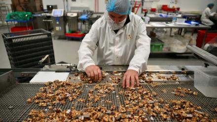 La fabrication de calissons dans l'atelier de production du Roy René à Aix-en-Provence, dans les Bouches-du-Rhône, le 18 novembre 2025