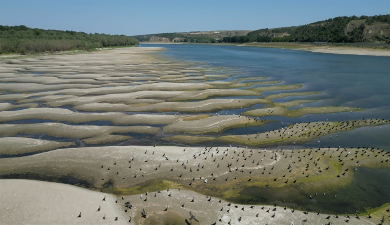 Les rives asséchées du Danube à Rasova, en Roumanie, le 13 août 2026