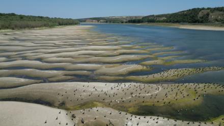 Les rives asséchées du Danube à Rasova, en Roumanie, le 13 août 2026