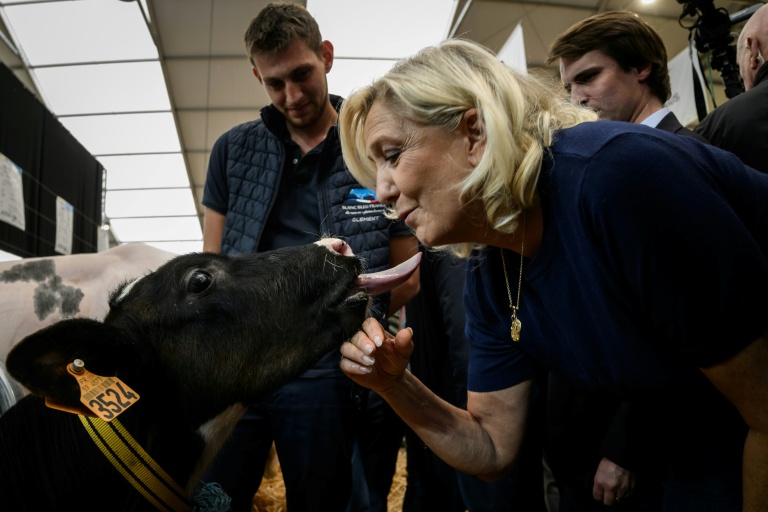 Marine Le Pen, candidate du RN à la présidentielle, câline un veau lors de sa visite au Sommet de l'élevage à Cournon-d'Auvergne, le 7 octobre 2026 dans le Puy-de-Dôme
