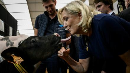 Marine Le Pen, candidate du RN à la présidentielle, câline un veau lors de sa visite au Sommet de l'élevage à Cournon-d'Auvergne, le 7 octobre 2026 dans le Puy-de-Dôme