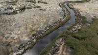 Vue d'une ancienne forêt autrefois utilisée pour l'extraction illégale d'ambre, dans le nord-ouest de l'Ukraine, le 19 mai 2026