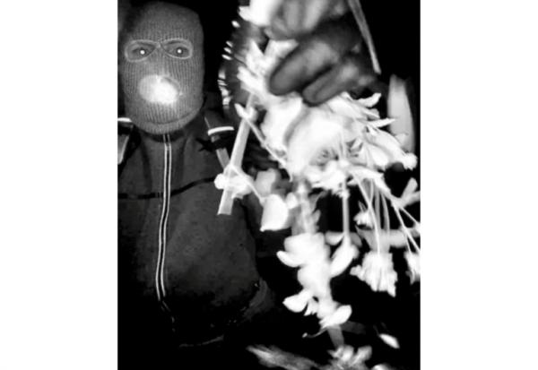 Cette photo, fournie le 10 février 2026 par le bureau du shériff du comté de Pima, montre un individu cagoulé sur le perron de Nancy Guthrie la nuit de sa disparition à Tucson, dans l'Etat américain de l'Arizona