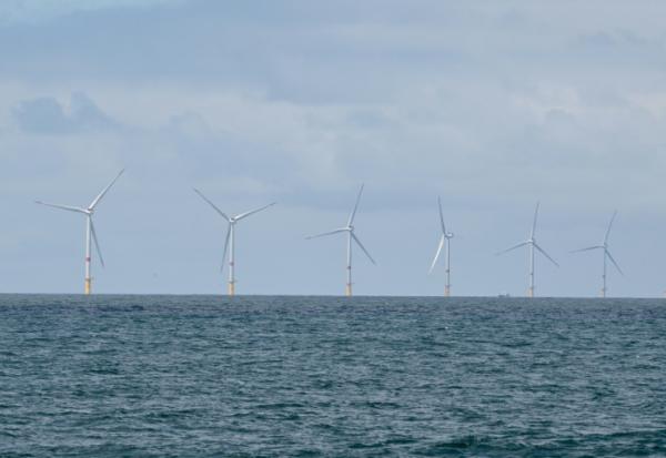 Le parc éolien offshore d'Yeu-Noirmoutier au large de l'Île-d'Yeu (Île d'Yeu), le 23 juin 2025