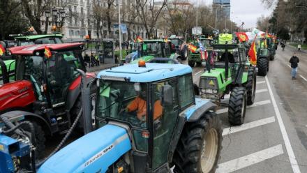 La manifestation des agriculteurs espagnols contre contre l'accord commercial Mercosur, à Madrid le 11 février 2026.