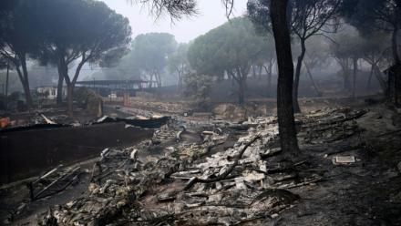 Des bateaux fondus sont visibles au barrage de San Juan après qu'un incendie de forêt a ravagé la région, à 65 kilomètres au sud-ouest de Madrid, le 28 juillet 2026