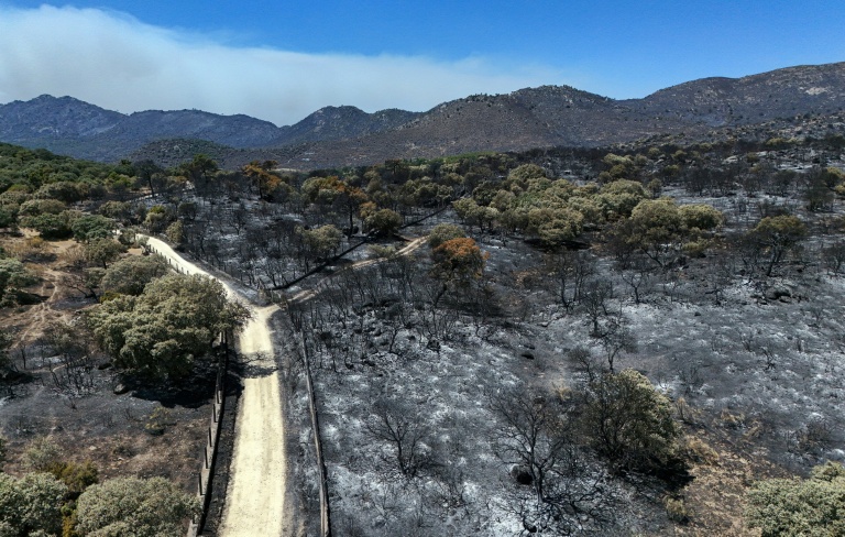 Une vue aérienne du sol calciné dans la région du Camino de Navahonda, à la suite d'un incendie de forêt survenu près de Robledo de Chavela, à 60 kilomètres à l'ouest de Madrid, le 27 juillet 2026 