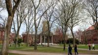 Le Harvard Yard du campus de l'Université Harvard à Cambridge, le 15 avril 2025 dans le Massachussetts