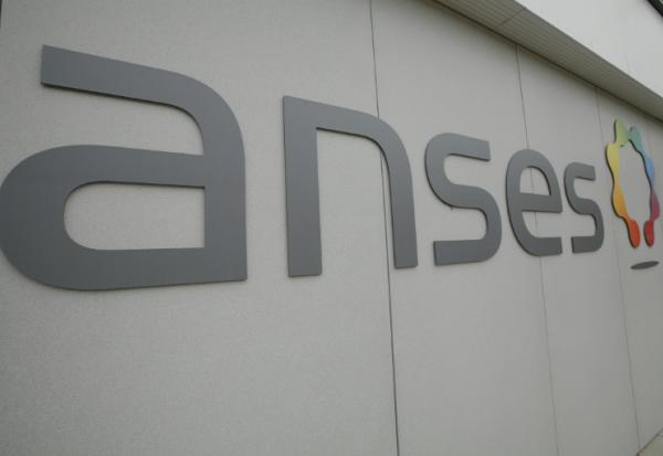 De toutes les causes d'exposition des Français au cadmium, l'alimentation est clairement la principale, souligne l'Anses