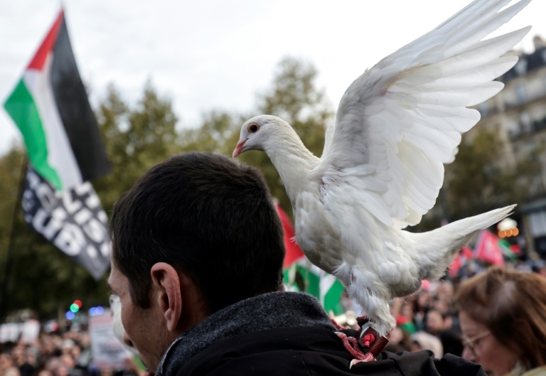 Manifestation de soutien à la flottille pour Gaza interceptée par les forces navales israéliennes, organisée à Paris le 2 octobre 2025