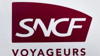 La SNCF a décidé de supprimer 71 trains Intercités qui devaient circuler de jeudi à lundi, pour "prévenir les pannes potentielles de climatisation liées aux très hautes températures" alors qu'une nouvelle vague de chaleur déferle sur la France