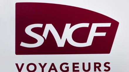 La SNCF a décidé de supprimer 71 trains Intercités qui devaient circuler de jeudi à lundi, pour "prévenir les pannes potentielles de climatisation liées aux très hautes températures" alors qu'une nouvelle vague de chaleur déferle sur la France