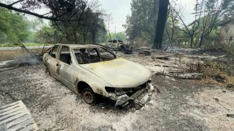 Gironde: véhicules et arbres calcinés après l'incendie progressant vers Bordeaux