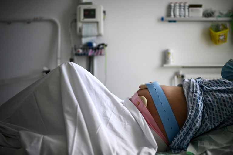 La France doit-elle reconnaître une décision de justice étrangère validant la filiation entre les parents d'intention et un enfant né d'une gestation pour autrui (GPA), alors que cette méthode de procréation reste interdite dans l'Hexagone ? 