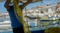 Un pêcheur montre des poissons-ballons à joues argentées, dans le port d'Ierapetra, en Crête, le 3 juin 2026