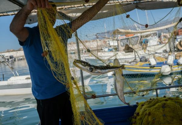 Alexis Charlambakis, un pêcheur grec, montre deux poissons-ballons pris dans ses filets à Ierapetra, en Crète, le 3 juin 2026