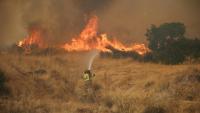 Un pompier tente d'éteindre un feu qui fait rage dans la région de Megara, au nord-ouest d'Athènes, le 3 août 2026.
