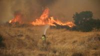 Un pompier lutte contre un incendie dans la région de Megara, à l'ouest d'Athènes, le 3 août 2026