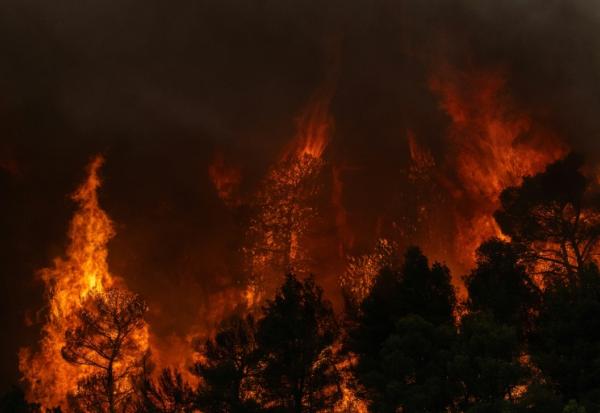 La fumée d’un incendie de forêt s’élevant tandis que les flammes brûlent les arbres et la végétation dans la région de Porto Germeno, le 1er août 2026