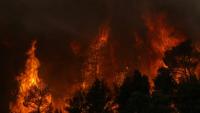 La fumée d’un incendie de forêt s’élevant tandis que les flammes brûlent les arbres et la végétation dans la région de Porto Germeno, le 1er août 2026