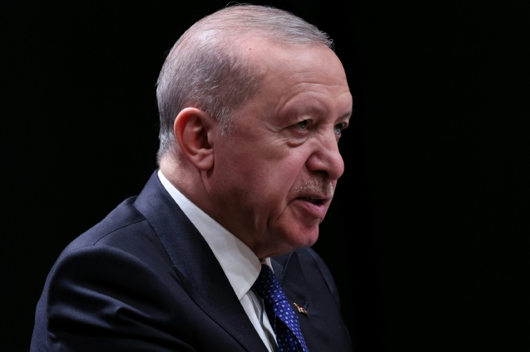 Le président turc Recep Tayyip Erdogan tient une conférence de presse conjointe avec le Premier ministre irakien à l'issue de leur rencontre au palais présidentiel d'Ankara, le 28 juillet 2026