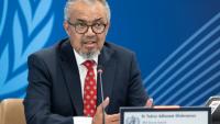 Le directeur général de l'Organisation mondiale de la Santé (OMS), Tedros Adhanom Ghebreyesus, en conférence de presse virtuelle consacrée au hantavirus, à Genève, le 7 mai 2026