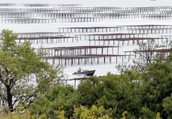 Un parc à huîtres dans l'étang de Thau à Marseillan, le 16 août 2008