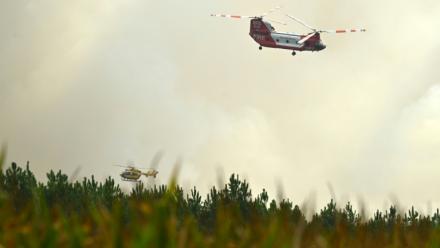 Un hélicoptère bombardier d'eau CH-47D Chinook du Rural Fire Service (RFS) de Nouvelle-Galles du Sud (Australie) et un hélicoptère de la Sécurité civile française survolent la forêt de Luglon lors d'un incendie de forêt, le 14 août 2026 dans les Landes
