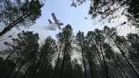 Un Canadair largue de l'eau sur la forêt en flammes à Luglon, dans les Landes, le 14 août 2026