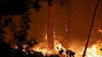 Incendie dans les landes, Luglon, 14 août 2026