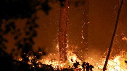 Incendie dans les landes, Luglon, 14 août 2026