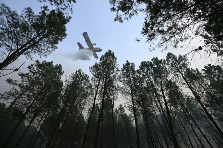 Un avion de lutte contre les incendies CL-415 de la Sécurité civile française, de type Canadair, déverse de l'eau sur les arbres d'une forêt lors d'un incendie de forêt à Luglon, dans le sud-ouest de la France, le 14 août 2026