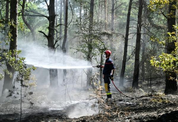 Un pompier arrose les arbres et le sous-bois pendant un incendie dans la forêt de Fontainebleau, à Noisy-sur-École, le 16 juillet 2026 en Seine-et-Marne