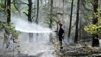 Un pompier arrose les arbres et le sous-bois pendant un incendie dans la forêt de Fontainebleau, à Noisy-sur-École, le 16 juillet 2026 en Seine-et-Marne