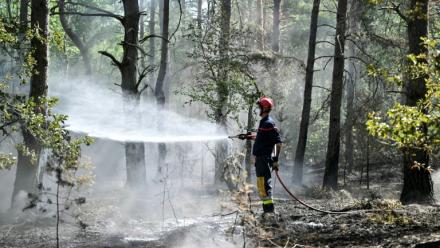 Un pompier arrose les arbres et le sous-bois pendant un incendie dans la forêt de Fontainebleau, à Noisy-sur-École, le 16 juillet 2026 en Seine-et-Marne
