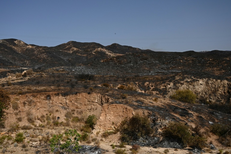 Vue des dégâts causés après un incendie près de Bedar, dans le district de Los Gallardos, dans la province d'Almería, le 10 juillet 2026 en Espagne

