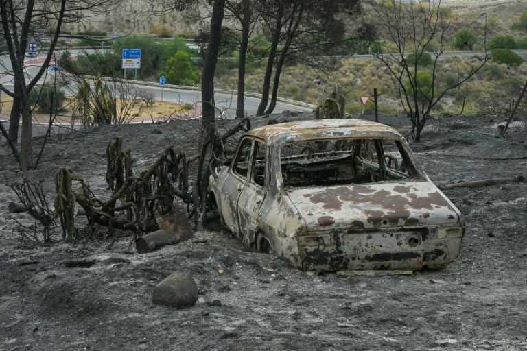 Une voiture calcinée dans une zone touchée par un incendie de forêt meurtrier à Almocaizar, dans la province d'Almería, le 12 juillet 2026 en Espagne
 A wildfire that has killed at least 12 people in southern Spain was close to being brought under control Sunday, allowing hundreds of evacuated residents to return home as firefighters worked to fully stabilise the blaze, offficials said. Authorities have kept the death toll at 12 and cautioned that the number of missing people remains uncertain until autopsies and the identification of recovered bodies are completed.
