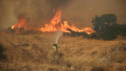 Un pompier lutte contre un incendie dans la région de Megara, à l'ouest d'Athènes, le 3 août 2026