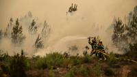 Des pompiers arrosent la lisière d'une forêt lors d'un incendie de forêt près de la ville de Lège-Cap-Ferret, en Gironde, le 25 juillet 2026