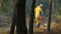 Un pompier allume un feu tactique, à Luglon (Landes), le 16 août 2026