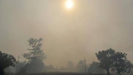 L'air de l'île indonésienne de Kalimantan pollué par des fumées d'incendies de forêt, le 20 août 2026 en Indonésie