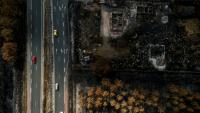 Un paysage de Lanton, en Gironde, après le passage de l'incendie, le 4 août 2026