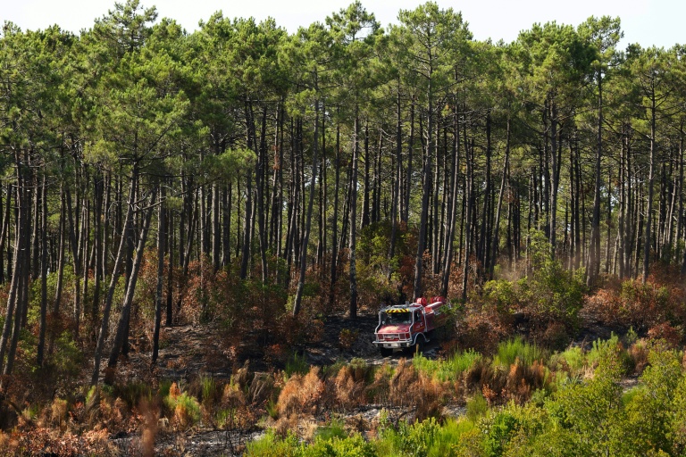Un camion de pompiers dans la forêt du Grand Crohot, à Lège-Cap-Ferret, en Gironde, le 1er août 2026 